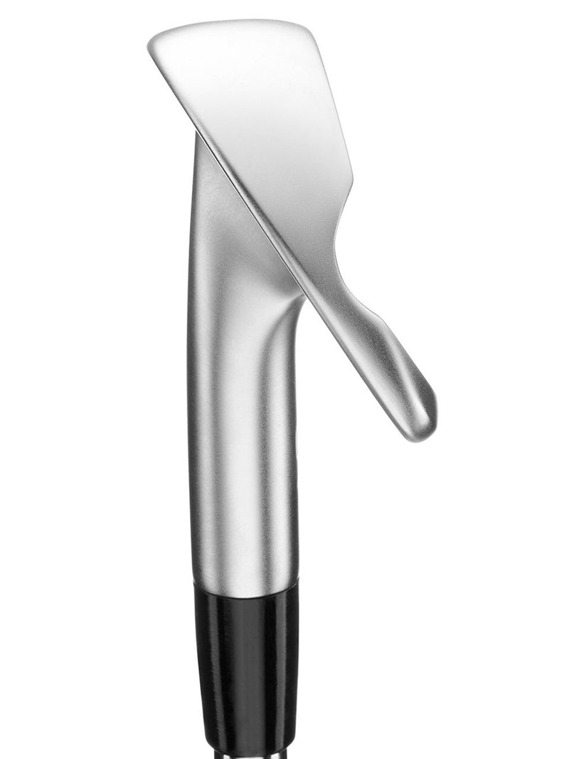 MIZUNO Pro S-1 Iron (Custom)